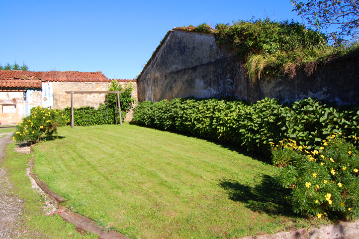 Césped con arbustos